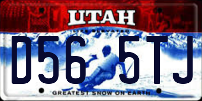 UT license plate D565TJ