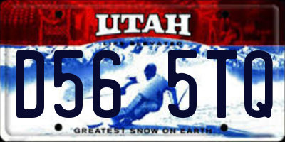 UT license plate D565TQ
