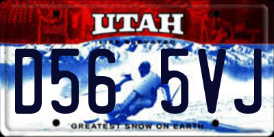 UT license plate D565VJ