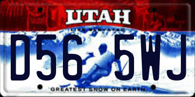 UT license plate D565WJ