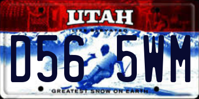 UT license plate D565WM
