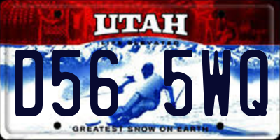 UT license plate D565WQ
