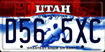 UT license plate D565XC