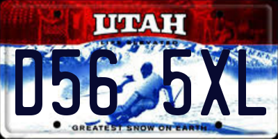 UT license plate D565XL