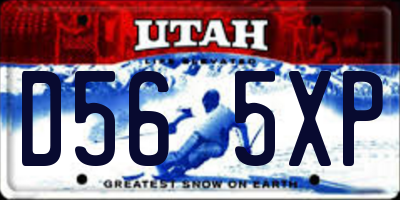 UT license plate D565XP