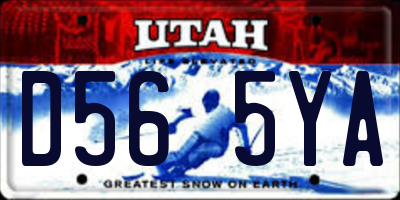 UT license plate D565YA