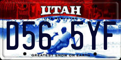 UT license plate D565YF