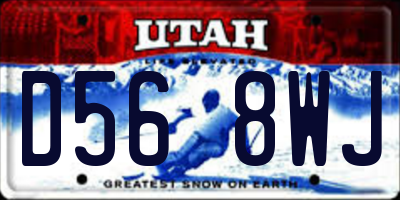 UT license plate D568WJ