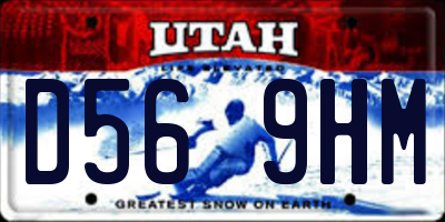 UT license plate D569HM