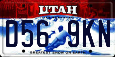UT license plate D569KN