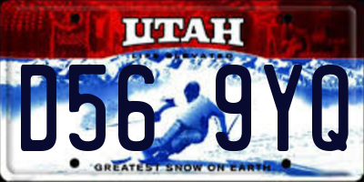 UT license plate D569YQ