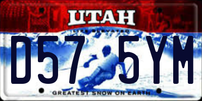 UT license plate D575YM