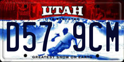 UT license plate D579CM