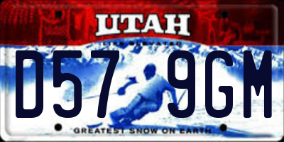 UT license plate D579GM