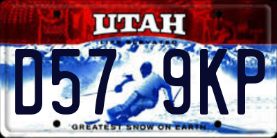 UT license plate D579KP