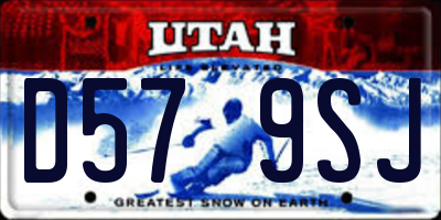 UT license plate D579SJ