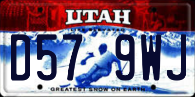UT license plate D579WJ