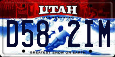 UT license plate D582IM