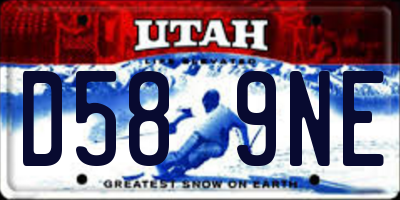 UT license plate D589NE