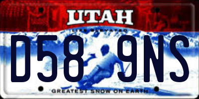 UT license plate D589NS