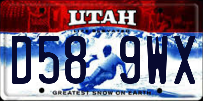 UT license plate D589WX