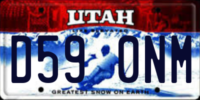UT license plate D590NM
