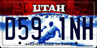 UT license plate D591NH