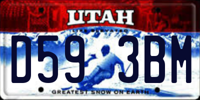 UT license plate D593BM