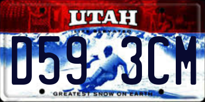 UT license plate D593CM