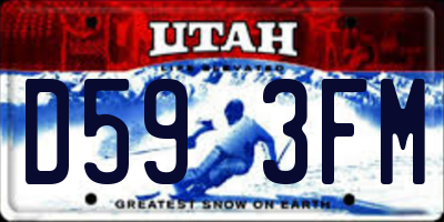 UT license plate D593FM