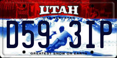 UT license plate D593IP