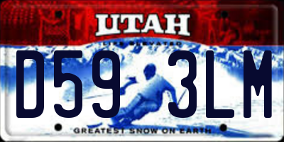 UT license plate D593LM