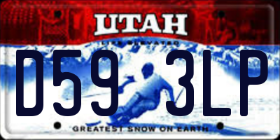 UT license plate D593LP