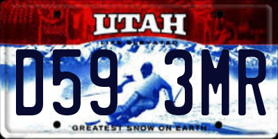 UT license plate D593MR