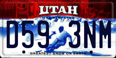 UT license plate D593NM