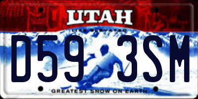 UT license plate D593SM