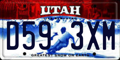 UT license plate D593XM