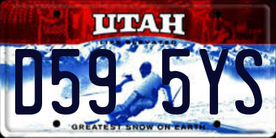 UT license plate D595YS