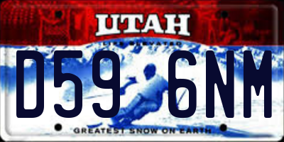 UT license plate D596NM