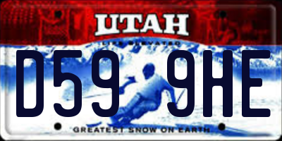 UT license plate D599HE