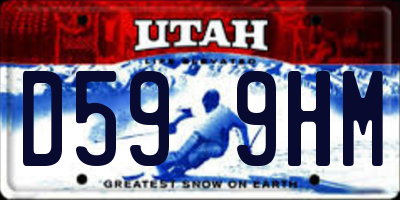 UT license plate D599HM