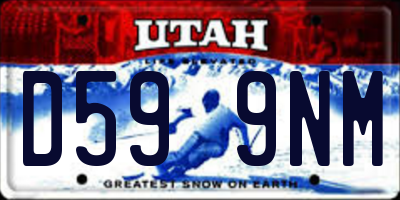 UT license plate D599NM