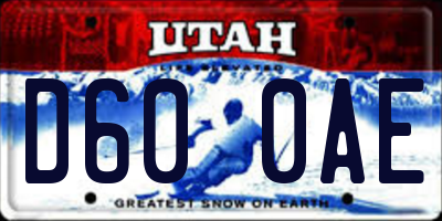 UT license plate D600AE