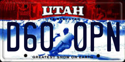 UT license plate D600PN