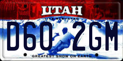 UT license plate D602GM