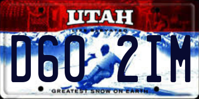 UT license plate D602IM
