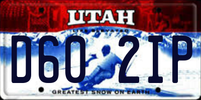 UT license plate D602IP
