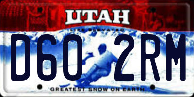 UT license plate D602RM