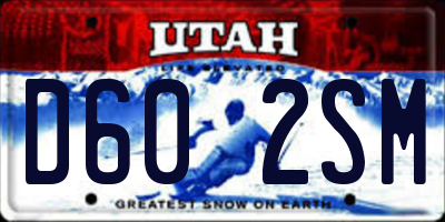 UT license plate D602SM