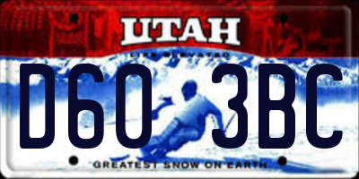 UT license plate D603BC